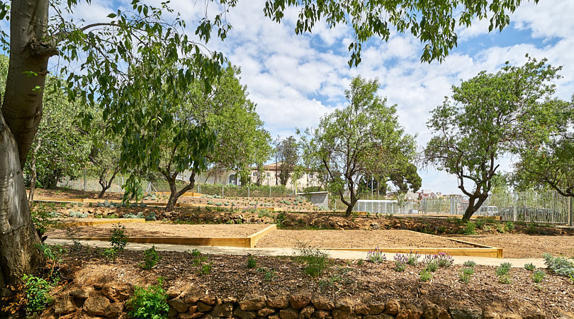 Jardins del doctor pla i armengol al barri del guinardó, barcelona | Premis FAD 2020 | Ciudad y Paisaje