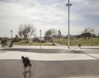Landskate Parks. Xarxa de Parcs Esportius Urbans de Barcelona | Premis FAD  | Ciutat i Paisatge