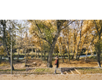 Regeneració paisatgística del Camí de Cabrianes | Premis FAD 2020 | Ciutat i Paisatge