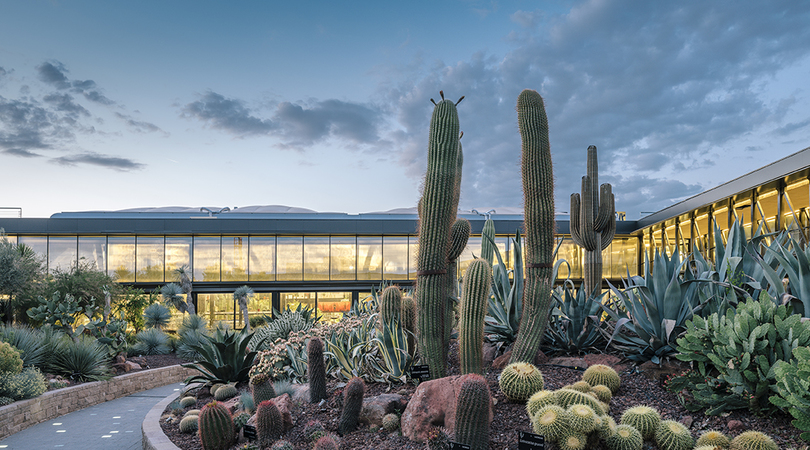 Desert city | Premis FAD 2018 | Architecture