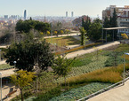 Jardins del Doctor Pla i Armengol al barri del Guinardó, Barcelona | Premis FAD  | Ciudad y Paisaje
