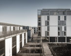 113 viviendas sociales en Toulouse (1ª fase) | Premis FAD 2017 | Arquitectura