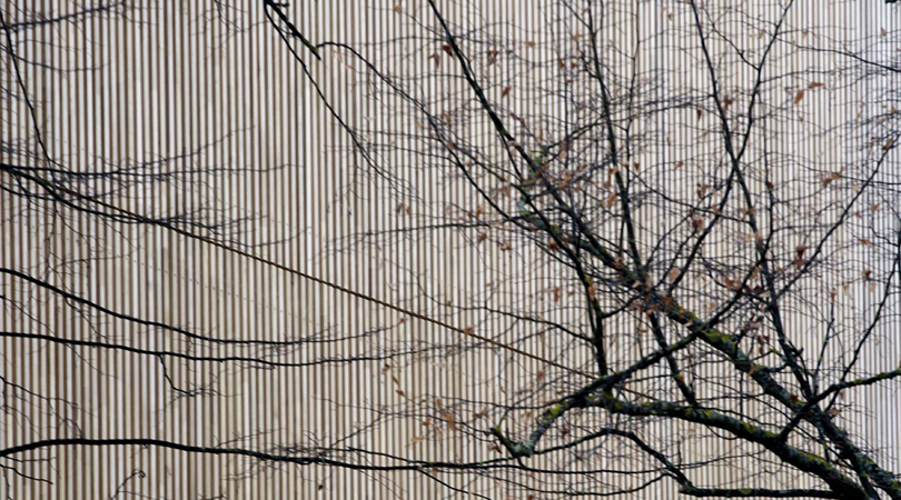 rehabilitación del caserio gernika