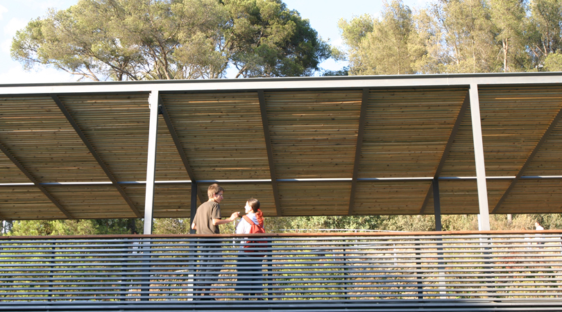 PARC DEL MIL.LENARI . FASE 2