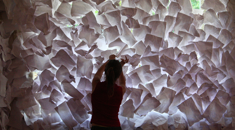 ACCIÓ-EXPOSICIÓ: "vers un nou equilibri natural..."