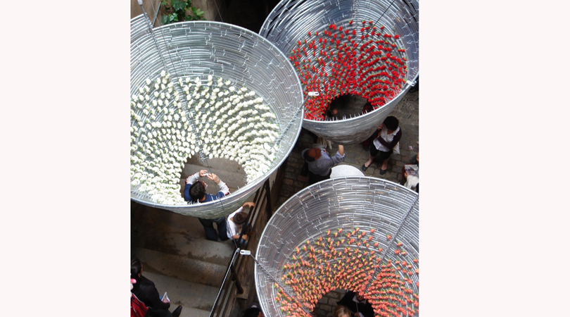 INTERVENCIÓ AL PATI CASA SAMBOLA. TEMPS DE FLORS