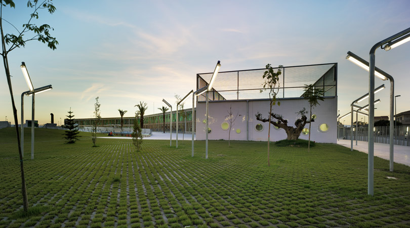 COLEGIO PÚBLICO NUESTRA SEÑORA DEL ROSARIO. TORRE PACHECO
